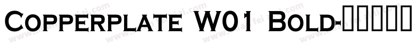 Copperplate W01 Bold字体转换